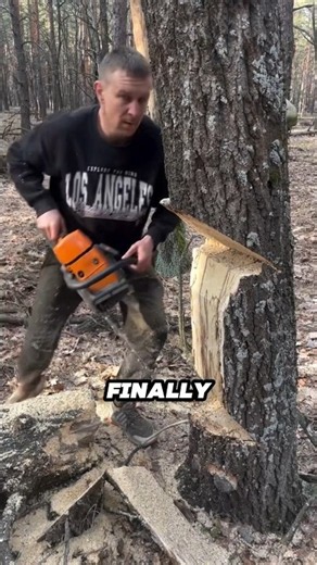 How to Make a Massive Tree Fall Exactly Where You Want? 🌲🪚