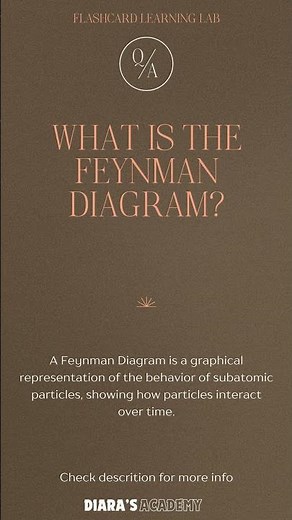 What is the Feynman Diagram