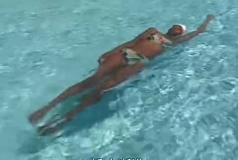 全浸式自由泳教程