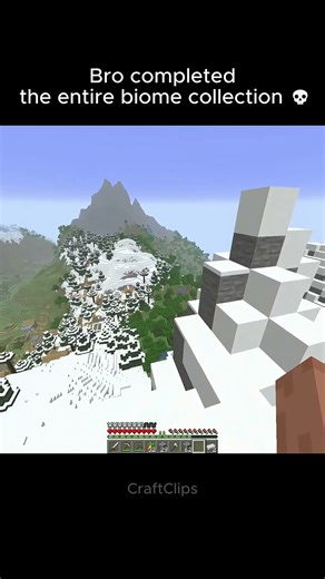 Bro really found every Minecraft biome 💀