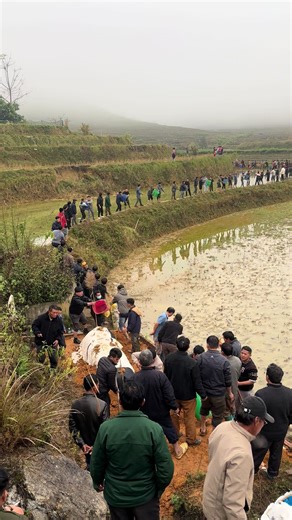 Video Cuối Cùng Của Bác: Ký Ức Đáng Nhớ