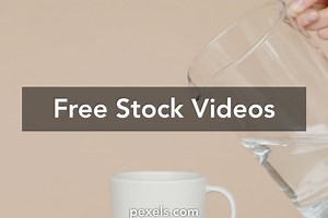 Mocking Videos, Download The BEST Free 4k Stock Video Footage & Mocking HD Video Clips