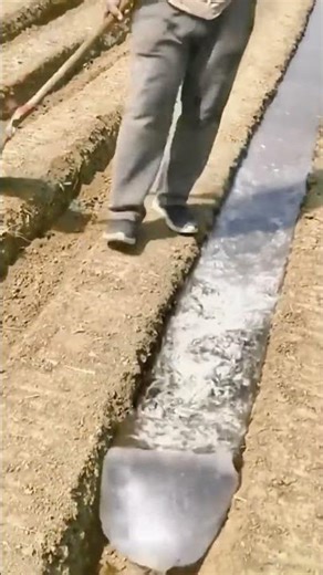 Water-Saving Farming Technology – Buffer Bag Flow Control