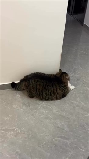 Round Boys on Instagram: "What would you name him?"