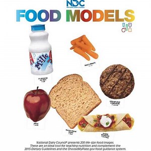Food Models (Information Only)