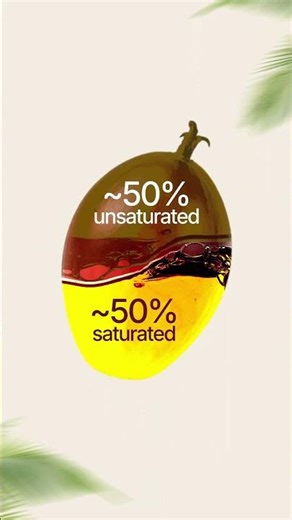 Palm Oil Myth vs Fact: Only facts! 50:50 Fat Balance + Tocotrienols Explained
