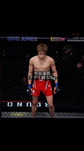 各階級の日本人最強MMAファイター #rizin #ufc #平良達郎 #格闘技
