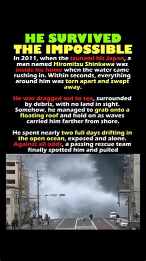 How he Survived the Japanese 2011 Tsunami