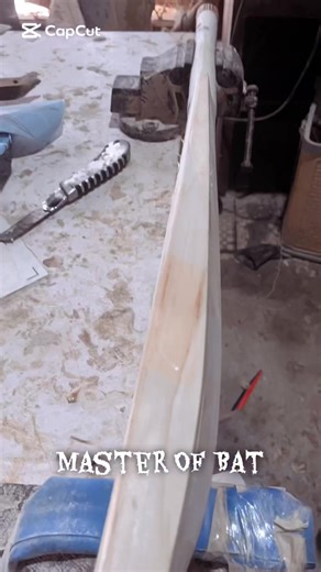 Master of Bat: Expert Bat Repairing Tips