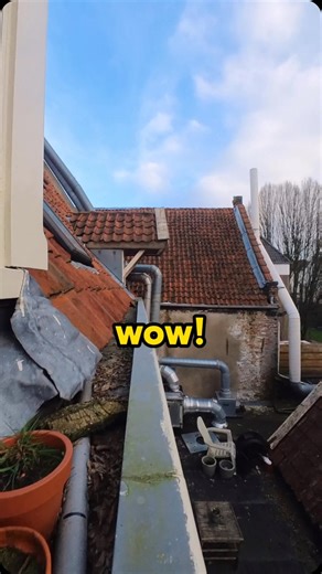 The king of parkour 👑 | Ros Adventure Cat