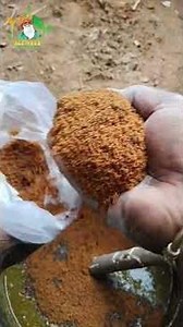 #farming தெளிப்பு முறை ஜீவாமிர்தம்