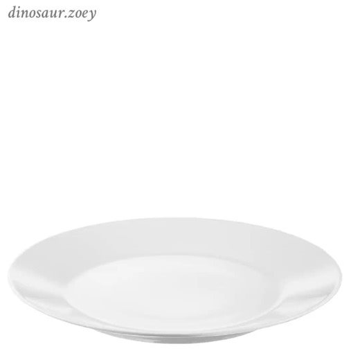 Exploring the World of Zoey and Dinosaurs