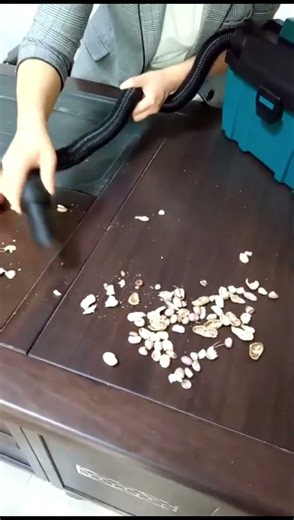 Guest gone, but the mess stays? No worries — we’ve got the perfect solution.