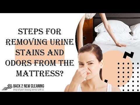 Simple Steps For Removing Urine Stains and Odors from the Mattress | Mattress Cleaning Tips - 2019