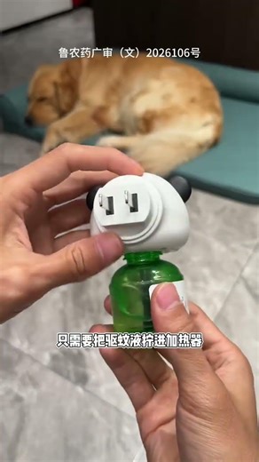 Banish Toxic Pyrethroid Coils for Pet Safety