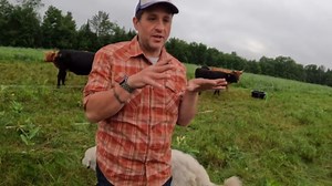 Kids on the Farm: A Day in the Life of Young Homesteaders