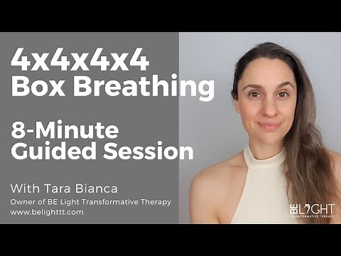 Box Breathing - 8-Minute Guided Breath Session - 4-4-4-4 Breathing