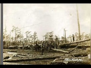 Early Flagler County Railroads, Logs and Sawmills