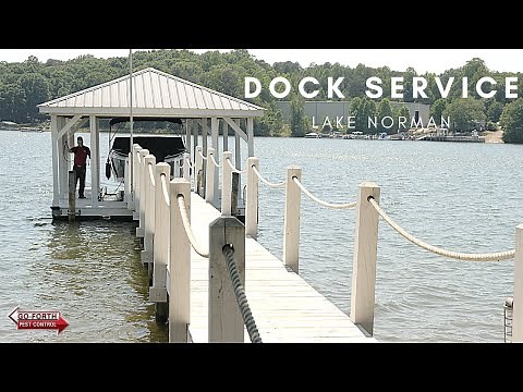How to effectively exterminate on a Dock // Lake Norman // Pest Control Professional
