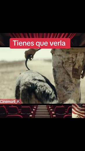 Megan Leavey: Complete Movie Clips and Recommendations