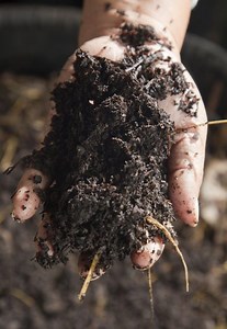 Organic Composting 101 - Making Compost Better