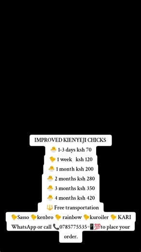Improved Kienyeji chicken are local Kenyan breeds that have been selectively bred or crossbred to improve growth rate, egg production, and disease resistance while still retaining the hardiness of indigenous chickens. Key Features: Egg Production: 200–280 eggs per year (higher than pure indigenous). Meat Quality: Tasty and lean meat, similar to kienyeji but grows faster. Growth Rate: Reach maturity earlier (4–5 months for cocks, 5–6 months for hens). Hardiness: Resistant to common diseases, adap