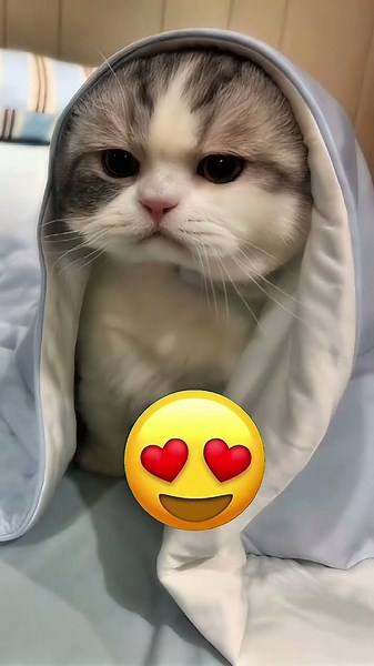 💡 What Surprising Lesson Can You Learn from This “Dropped Keys” Prank?