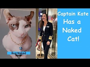Bug Naked, a Sphynx Cat, is First Mate on Celebrity Beyond