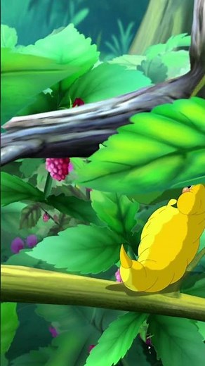Les secrets fascinants des papillons 🦋