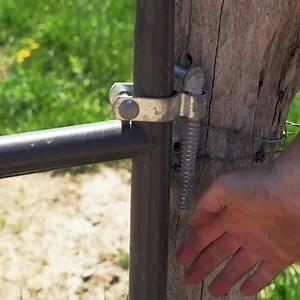 235K views · 1.7K reactions | Did you know cows could run that fast? Or jump so high? Watch our cows kick up their hooves in celebration of spring pasture. We can almost hear them cheering "Fresh, green grass! Hooray!"  | Organic Valley | Facebook