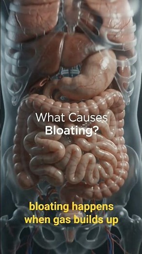 What Causes Bloating? | The Real Reason Your Stomach Feels Bloated!