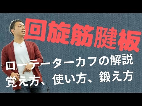 ローテーターカフの覚え方、使い方、鍛え方
