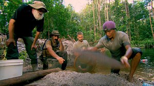 1.7M views · 10K reactions | Aunque la máquina de Todd no sea la mejor y tenga algunos problemas, pudieron encontrar diamantes en el material extraído en medio de la selva de Guyana ️‍♂️ #FiebreDelOro | Discovery Latinoamérica | Facebook