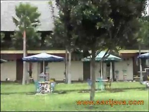 Wonosari Tea Plantation 2 - Malang - East Java