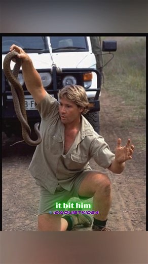 𝐒𝐭𝐞𝐯𝐞 𝐈𝐫𝐰𝐢𝐧