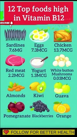 Top 12 Foods High in Vitamin B12 | Boost Energy & Nerve Health Naturally