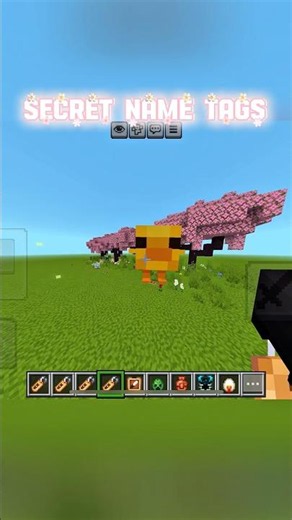 Minecraft Secret Name Tags You Didn’t Know! 🤯 #minecraft