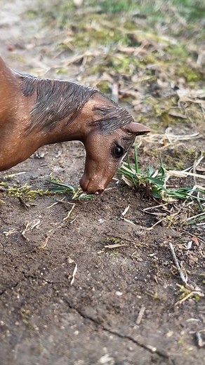 Exploring the World of Schleich Wild Horse Figures