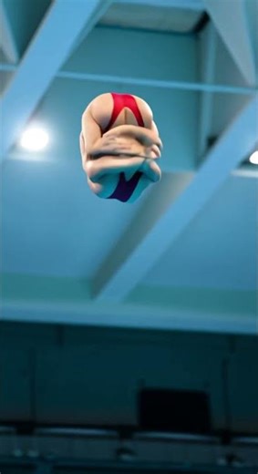 Highlights from the Diving Competition