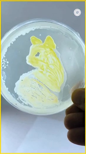 Center for Creative Learning, IIT Gandhinagar on Instagram: "🌟 In-Person Open Science Workshop | IIT Gandhinagar 🌟 The Art of Thinking Scientifically: From Wonder to Wisdom 📅 20 Jan – 24 Jan, 2026 📍 Center for Creative Learning (CCL), IIT Gandhinagar A hands-on science workshop designed for science educators, teachers, researchers, and resource persons teaching Classes 6–10. 🔬 Explore through experiments: Microbiology, Plant Physiology, Displacement Reactions, Soap Making & Paper Marbling,