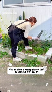 2.7K reactions · 68 shares | How to make a messy flower pool look beautiful? This is how to plant flowers in a courtyard flower pool. It looks good and is easy to maintain. Anyone can plant it, whether they have a balcony, a patio, a courtyard, or a garden. #yardlandscaping #plantscaping #cactus #affordableandworthwhile #gardening #gardenizi #mosquitoplants #containergarden #greengarden #plantlovers | Gardenizi | Facebook