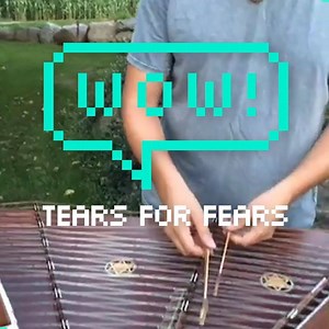 This guy's 'Tears For Fears' cover is spine-tinglingly good 😳🙌 Ted Yoder | See More Pets