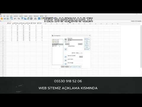 SPSS VIF Değeri Kaç Olmalı? Nasıl Hesaplanır?