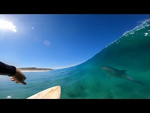 DEAD GLASSY Surfing Perfect Crystal Blue Beach POV Experience with dolphins
