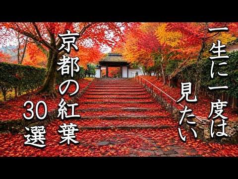 【4K】京都の紅葉30選｜一度は見たい、古都を彩る絶景