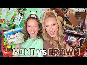 MINT 👗🧼 VS BROWN 🧸🍪 TARGET SHOPPING CHALLENGE (UNEXPECTED TURN) 😱🤔