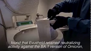 AstraZeneca said on Monday its antibody-based cocktail to prevent and treat COVID-19 retained neutralising activity against Omicron coronavirus sublineages, including the highly contagious BA.2, in an independent lab study. | Via REUTERS / ASTRAZENECA | INQUIRER.net