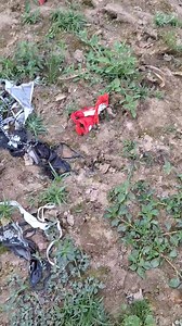 Orlando Andrus on Reels