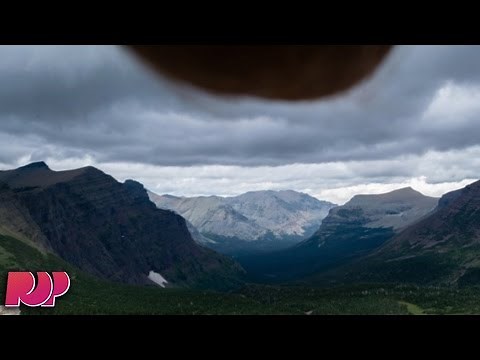 The Best Of Nutscaping