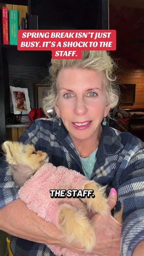 Spring break in a dog resort isn’t just busy, it’s a shock to the staff.